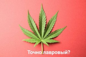 Смешные картинки и не очень