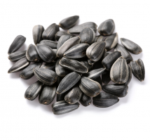 Прикольные и смешные картинки