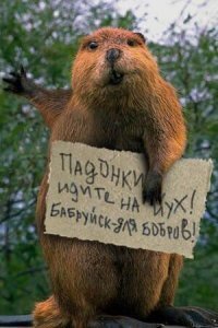 В Бобруйск!