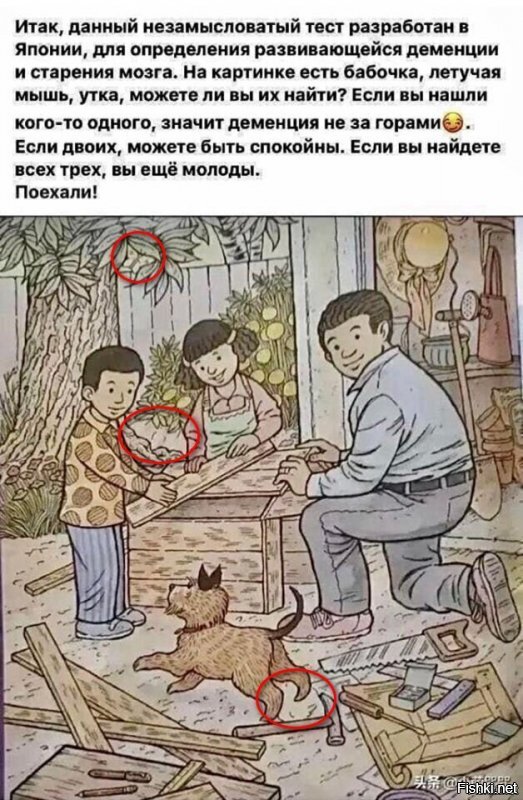 Солянка от 27.05.2020