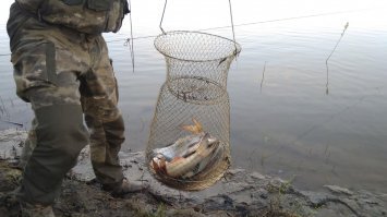 Рыбалка. Красноперка на вечерней зорьке на поплавок