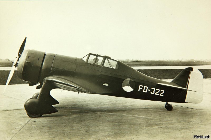 На Fokker D-XXI очень похож.