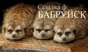 В Бобруйск!