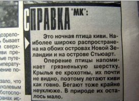 Прикольные и смешные картинки