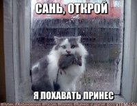 Смешные картинки и не очень