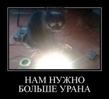 25 коварных кошек, задумавших тайно убить своих хозяев