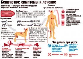 Чеченец покусал московского полицейского во время задержания