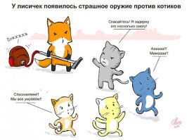 Лисы - милейшие создания на планете!