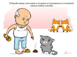 Лисы - милейшие создания на планете!