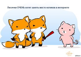 Лисы - милейшие создания на планете!