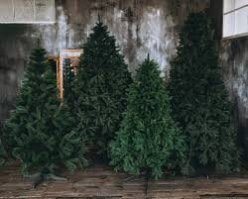 Ели аж ох@ели