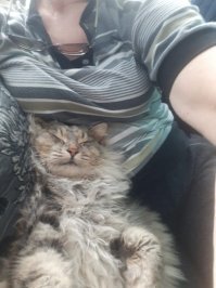 Это мой, на речке подобрали!Родители не известны.