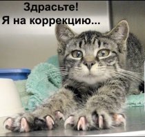 Как и зачем кошки выдвигают когти?