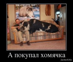 Парень решил спасти этого малыша, даже не зная кто он