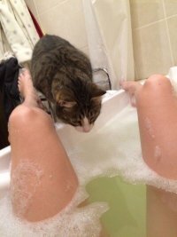 рыбой говоришь пахнет