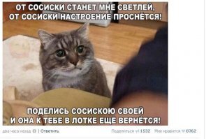 25 коварных кошек, задумавших тайно убить своих хозяев