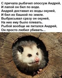 Смешные картинки из соц сетей