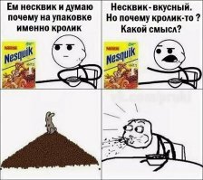 22 бесполезных, но забавных факта