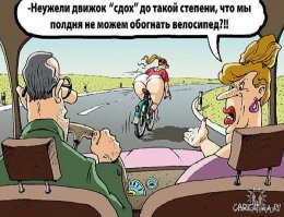 Прикольные и смешные картинки