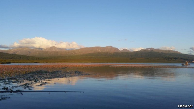 Рыбалка на карася весной на удочку 2020