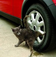 Против стереотипов