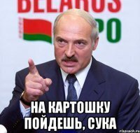 Трактор, котик, картошка, цветы: студия Лебедева показала новый герб Белоруссии