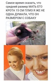 Эка неведаль, вспомните "Дюймовочку", крот чуть больше мыши