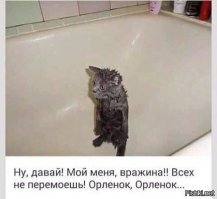 Смешные картинки и не очень