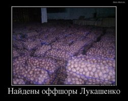 Трактор, котик, картошка, цветы: студия Лебедева показала новый герб Белоруссии