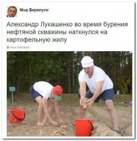 Трактор, котик, картошка, цветы: студия Лебедева показала новый герб Белоруссии