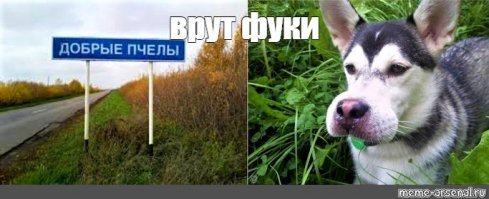 Их называют летающими волками