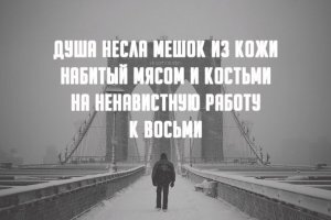 Смешные картинки