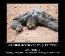 Привет из литовского болота: Калининград – как кость в горле