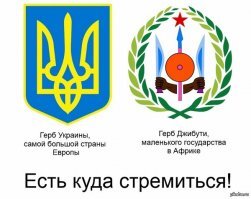 В Украине киллеры чуть не сожгли сами себя