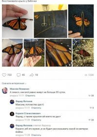Криворукий "коновал", пусть учится у настоящего профессионала.