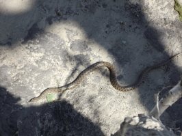 Рыбалка на поплавок! Рыбалка 2020 Весна