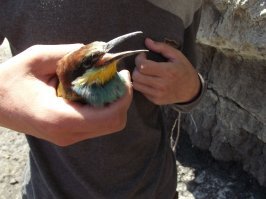 Рыбалка на поплавок! Рыбалка 2020 Весна