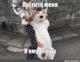 Встреча двух интернет-воинов! Атмосферная словесная перепалка автомобилистов