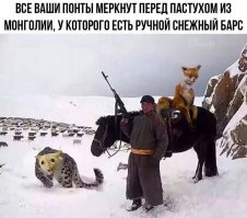 Походу, там не только барс.