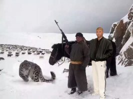 Смешные картинки