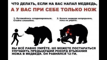 В таких краях надо ездить с банкой нашатыря. Медведи его на дух не переносят, и если какой-то *** приучил медведя попрошайничать еду, то надо из этой банки на тряпку вылить и в медведя кинуть, он по запаху поймёт, что от людей лучше держаться по дальше. Очень хорошую службу и себе и медведю и другим людям сделаете, а то косолапый который не боится людей - страшная угроза, в лучшем случае, его местный егерь пристрелит когда он повадится в гости часто ходить, в худшем случаи кто-то сильно пострадает, а медведя всё равно выследят и убьют. 
Медведь должен бояться человека и обходить его стороной, и человек в свою очередь не должен лезть к медведю слишком близко. 
Кстати, грибникам да ягодникам хороший совет, купите в аптеке нашатырь и колбу с пробкой и носите в переднем грудном кармане, если в лес случится так что на вас напал медведь, у вас будет средство последнего шанса - раздавать колбу и косолапый отступит от такой газовой атаки, потому что ни руками, ни ножом вы его не одолеете, и даже если у вас собой ружьё, то лучше не стреляйте, если не знаете куда стрелять или не умеете этого делать. Потому что медведь может дёргаться, рычать, вставать на задние лапы, что имитировать нападения, тем самым показывая что он готов защищать свою территорию (или схрон тухлятинки), и у вас будет шанс отступить назад, не убегая и не поворачиваясь к нему спиной. А раненый медведь - нападёт в  любом случае.