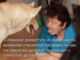 Две собачницы в Брянске загнали детей на стол, чтобы их псы поиграли на детской площадке