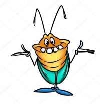 Жук плавунец: Самый страшный обитатель русских озер