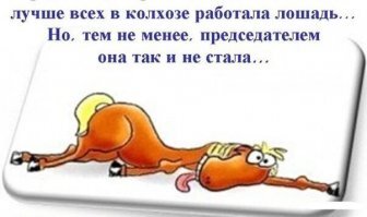 Смешные картинки