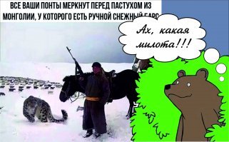 Смешные картинки