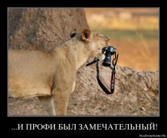 Не уверен.