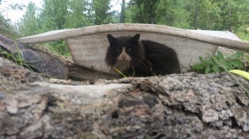 С котиками вот на рыбалку ездил и это самое "большое", что вообще когда-то ловил! До сих пор не понял как оно так получилось...