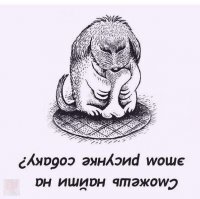 Смешные картинки и не очень