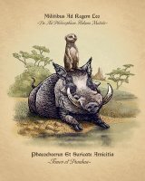 Тимон и пумба как сюда попали?