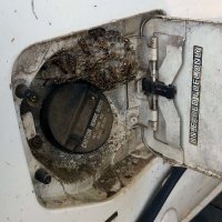 сосед походу давно не заправлялся